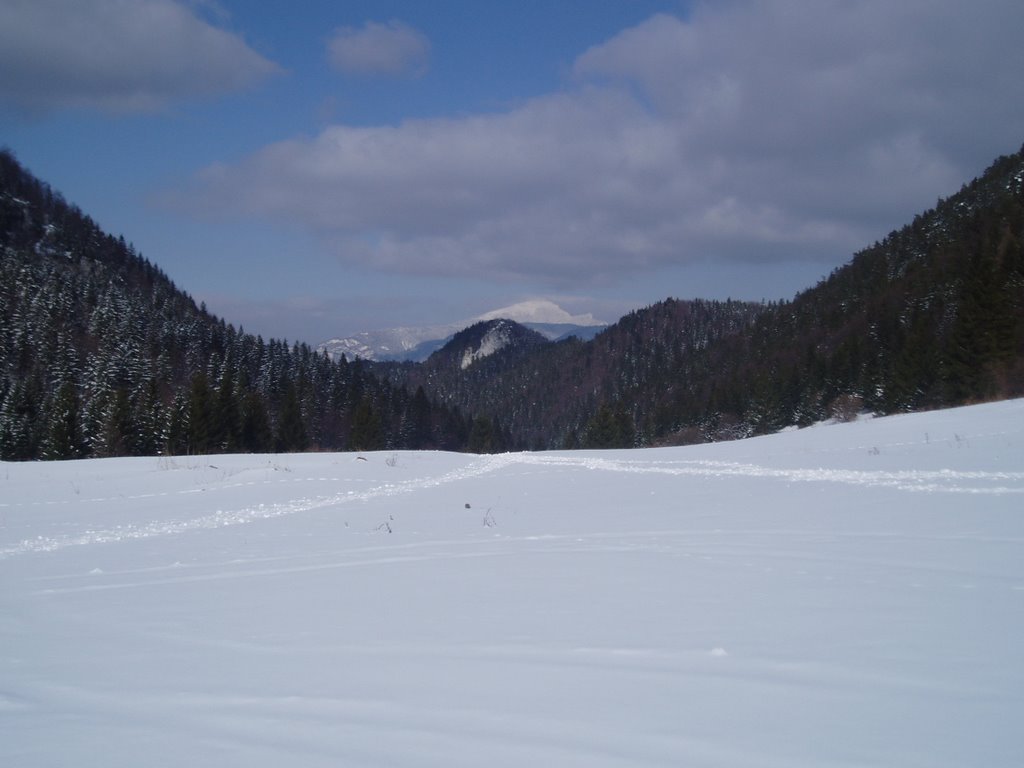 Veľká skala (911,9 m.n.m.) by © Ľudo T. II.