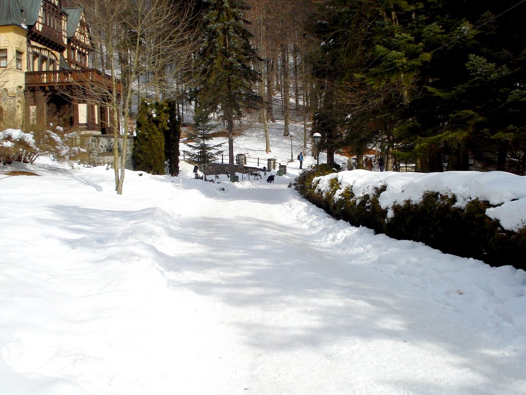 Peles Castle, Sinaia, Romania by Andreea Cristiana