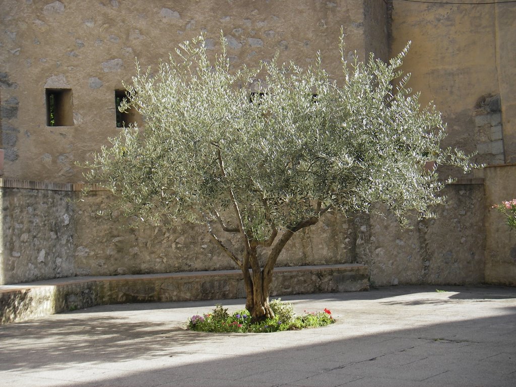 Digne-les-Bains, France by Carl.Dragert