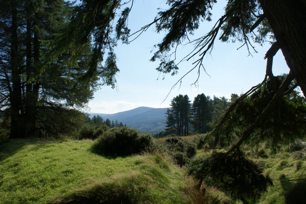 Wicklow Landscape Ireland by marlacho m