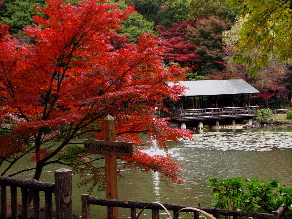 東山植物園 by inu484