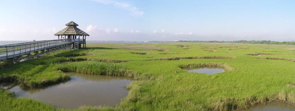 Port Lavaca - marsh by Aislander@ymail.com