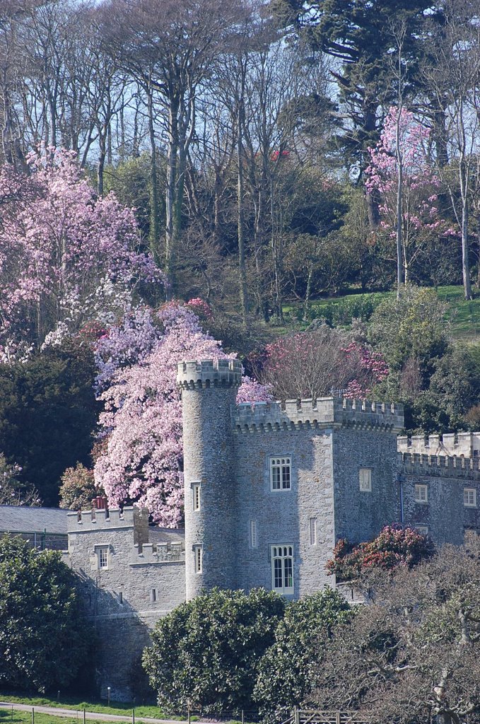 Caerhays Castle with Rhododendrons in Bloom by Grizz