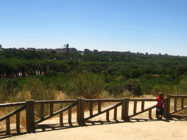 Casa de Campo, Madrid, Spain by Alexandru Ioan