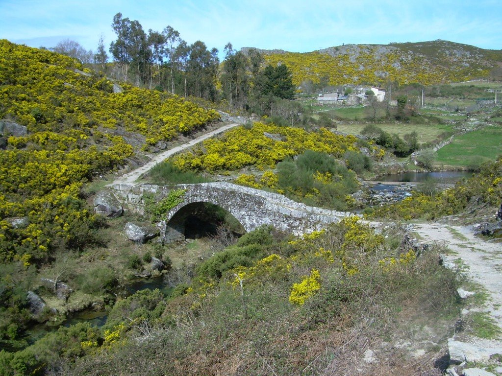 Puente de Liñares by edoarado