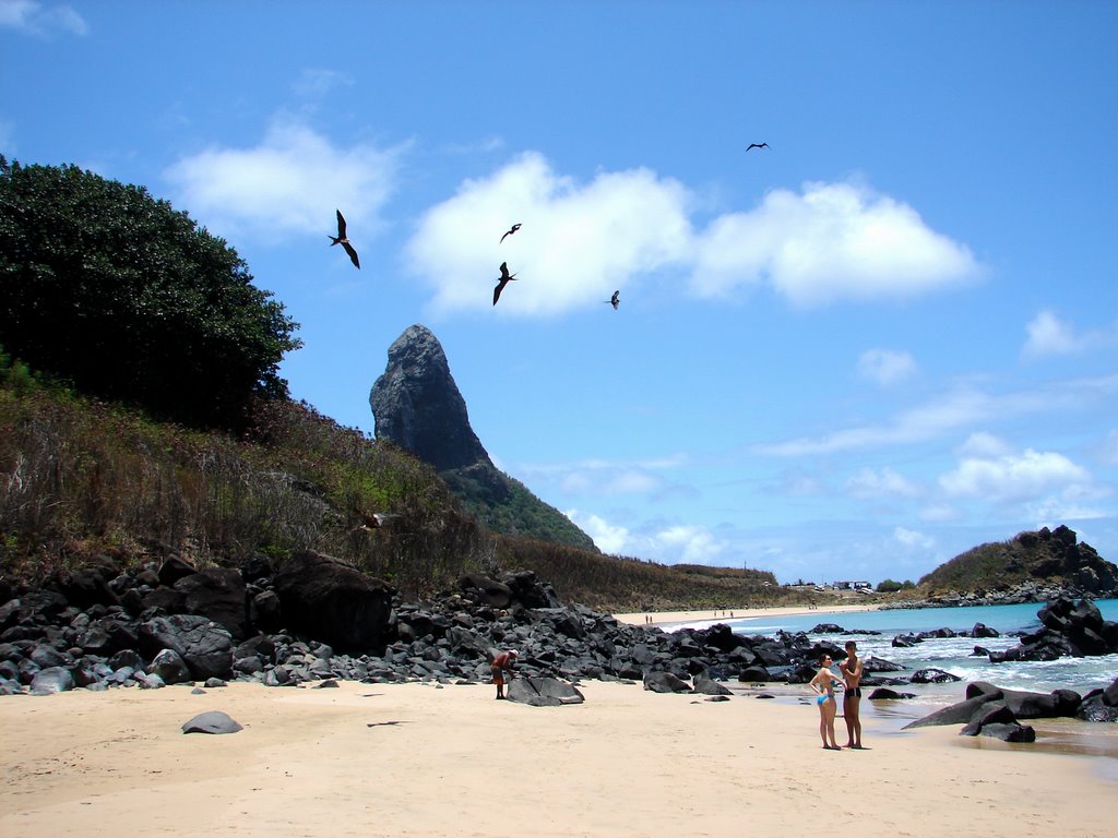 Ilha de fernando de noronha by iverson magalhaes