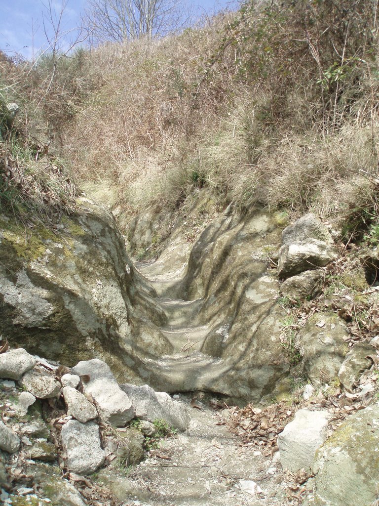 ISCHIA - Monte Epomeo - sentiero con gradini by ferdonio