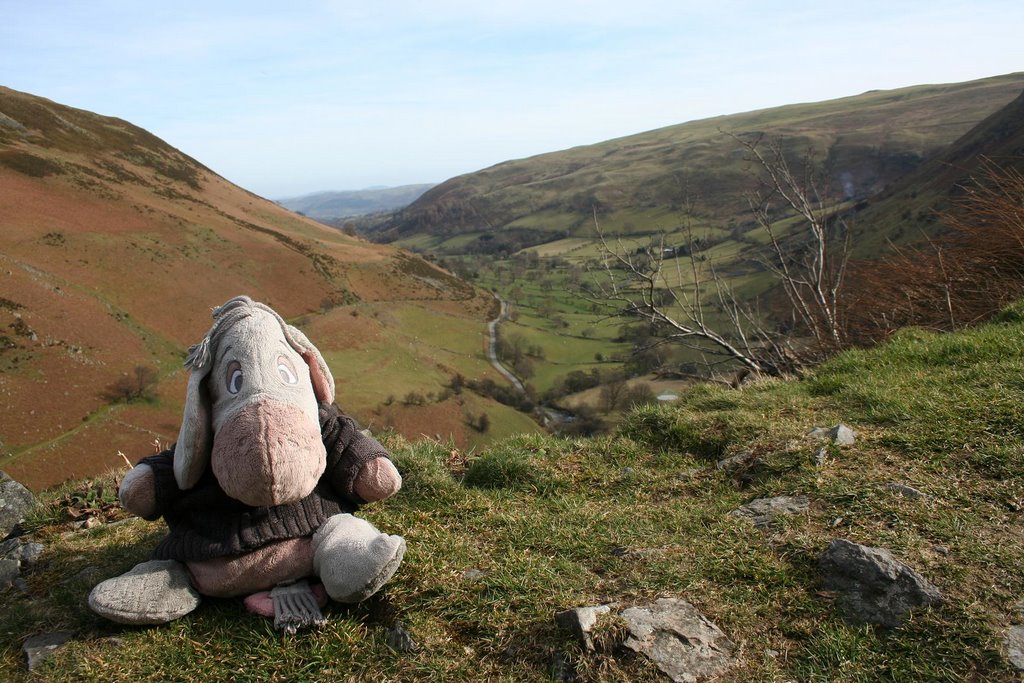 Eeyore visits Pistyll Rhaeadr by TheYore