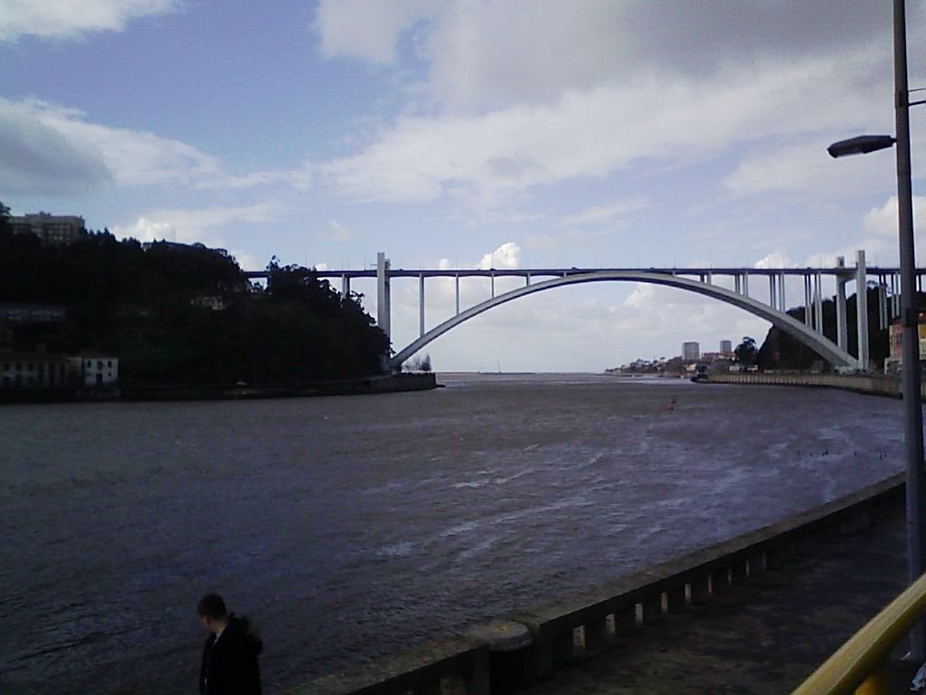 Ponte da ARRABIDA by harrycofa