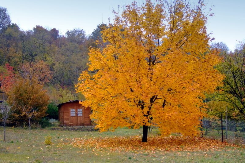 Pusztavacs, Hungary by rwicker