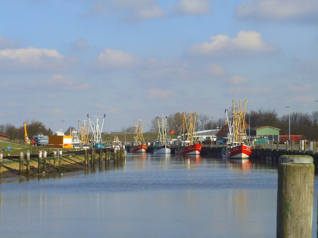 Friedrichskoog: Krabbenkutter im Hafen by picotuna