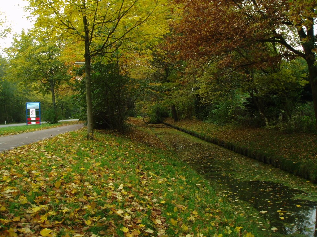 Nederland, Heerhugowaard Krusemanlaan by Math Bleeker