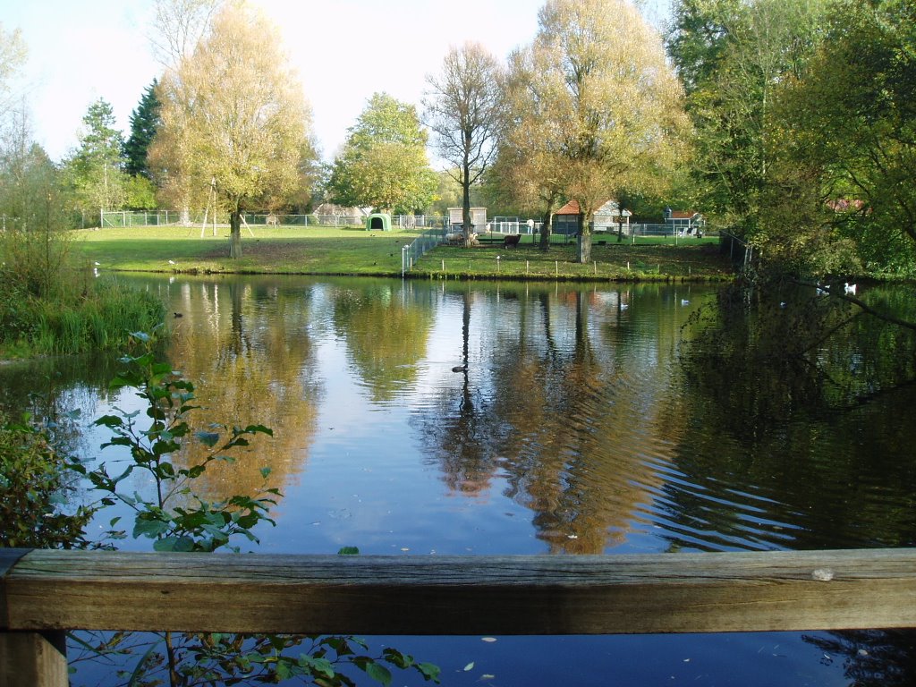 Heerhugowaard Rosarium met uitzicht op de kinderboerderij by mn-bleeker