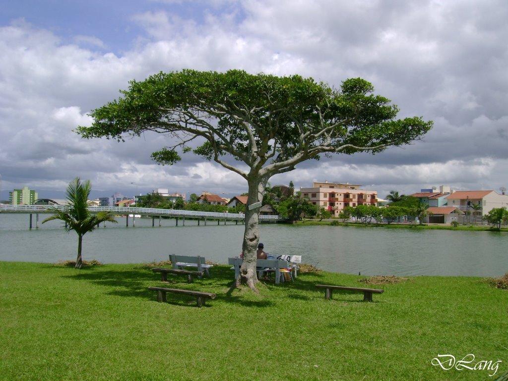 Lagoa do Violão by Deonizio Lang