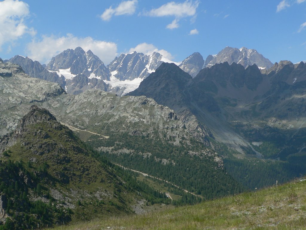 Gruppo del Bernina dal monte Motta by Roberto Luinetti