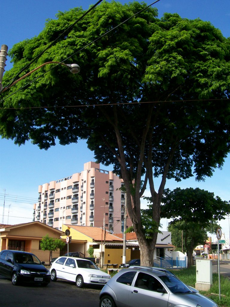 Retorno da Rua Cillos para o Jardim São Paulo by Cleuza Daros