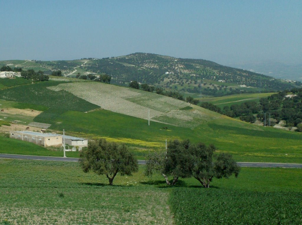 Landscape between Fes and Karia-Ba-Mohamed by thepan27