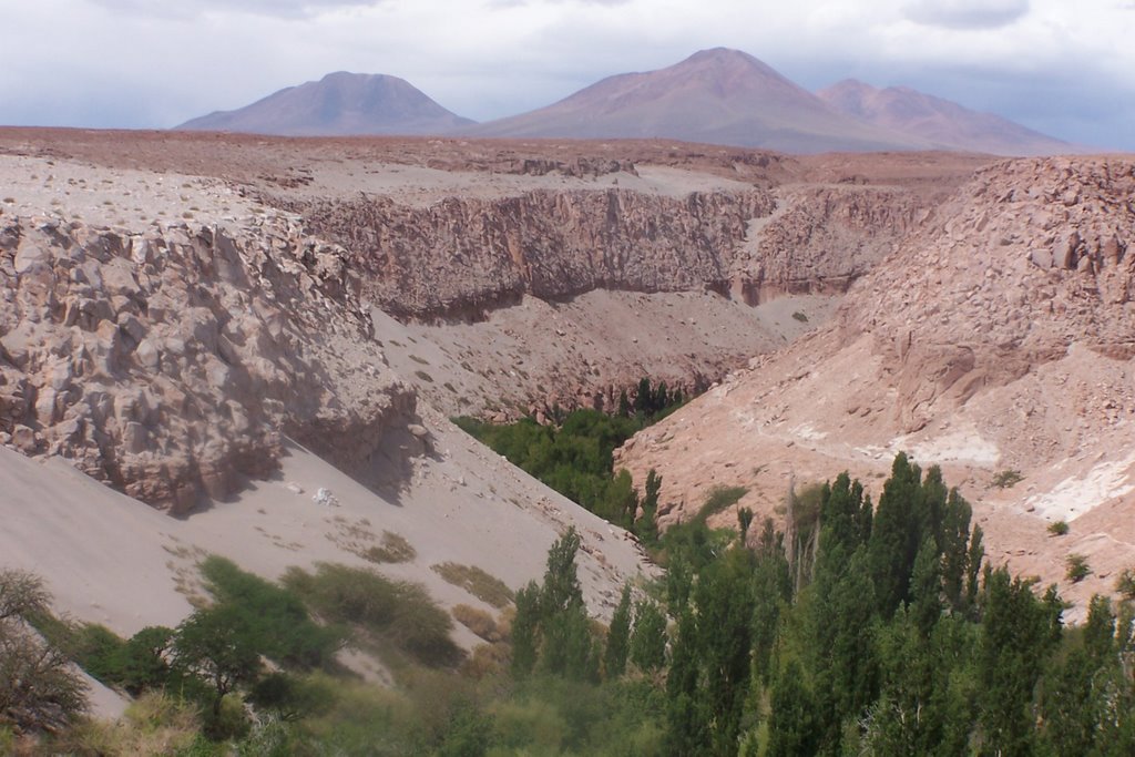 Quebrada de Jere - Toconao - Atacama by antoniobarretto