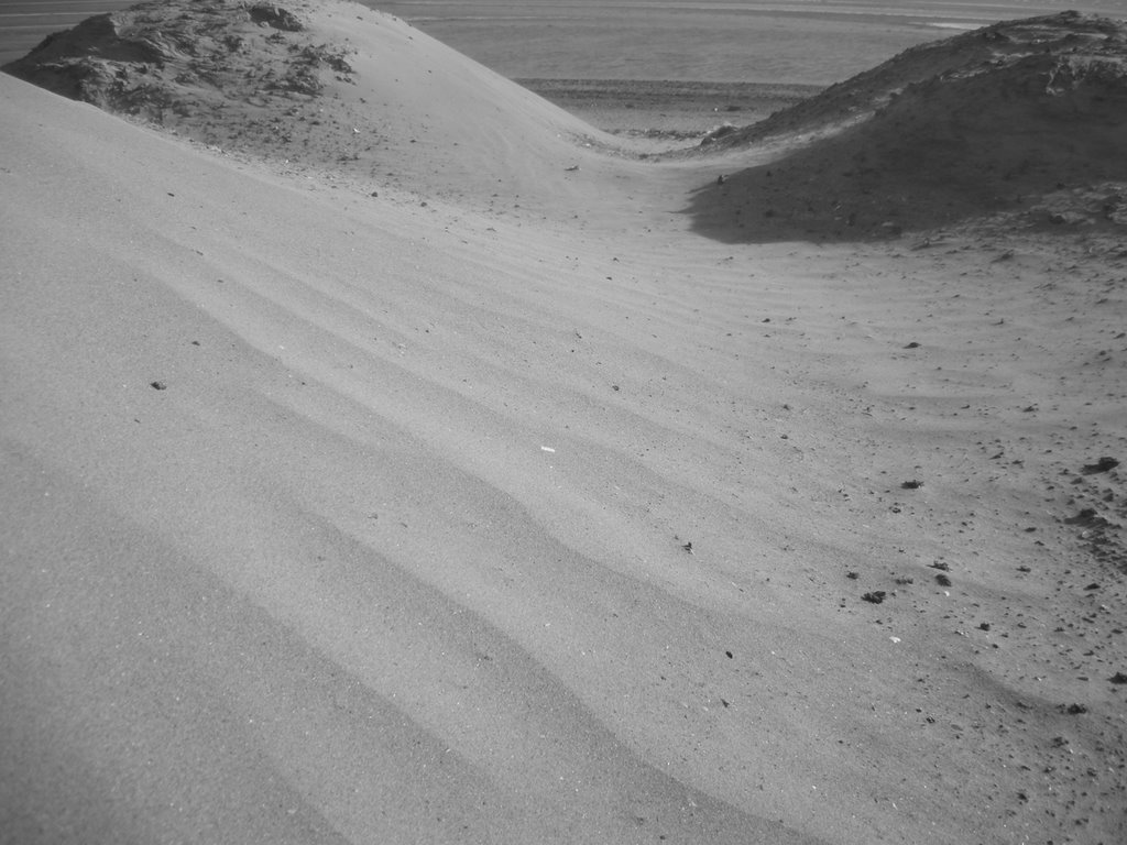 Segno del Vento tra le Cuneette di Sabbia. BW. by Tony Mininni