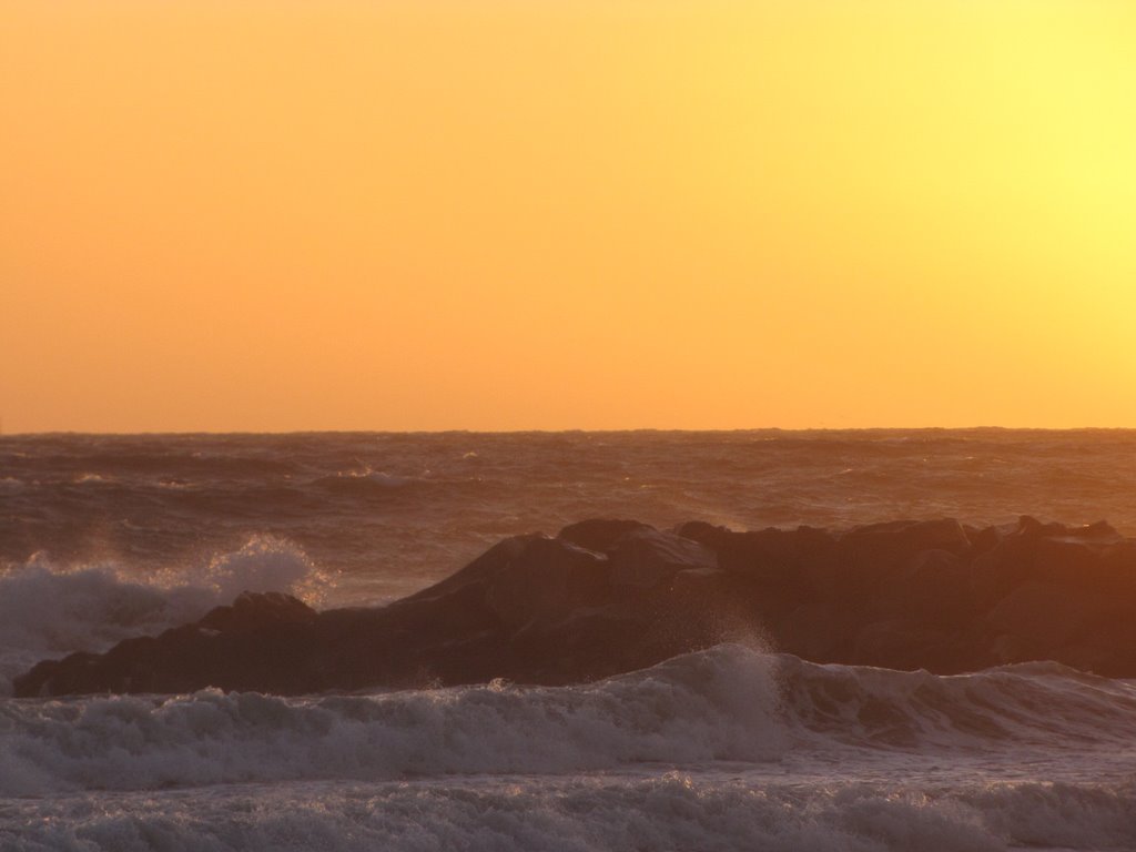 Newport Beach, CA, USA by Richele Clark