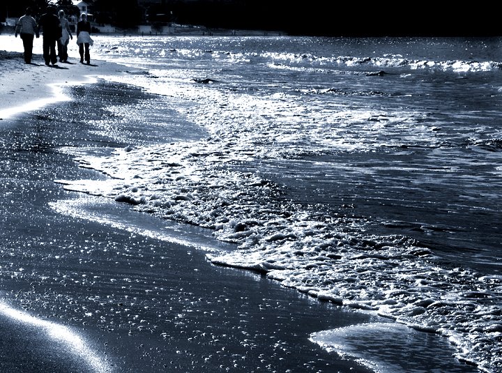 Milford Beach, NZ by T.Ranby www.wekafx.c…