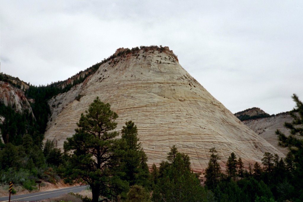 Checker Board Mesa, Zion Natl. Park, Utah by aldoponce