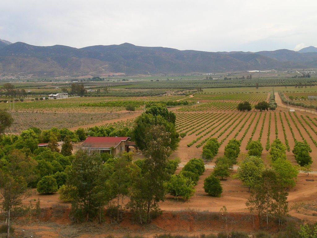 Hermosa vista valle de gpe. ensenada by carlosorz