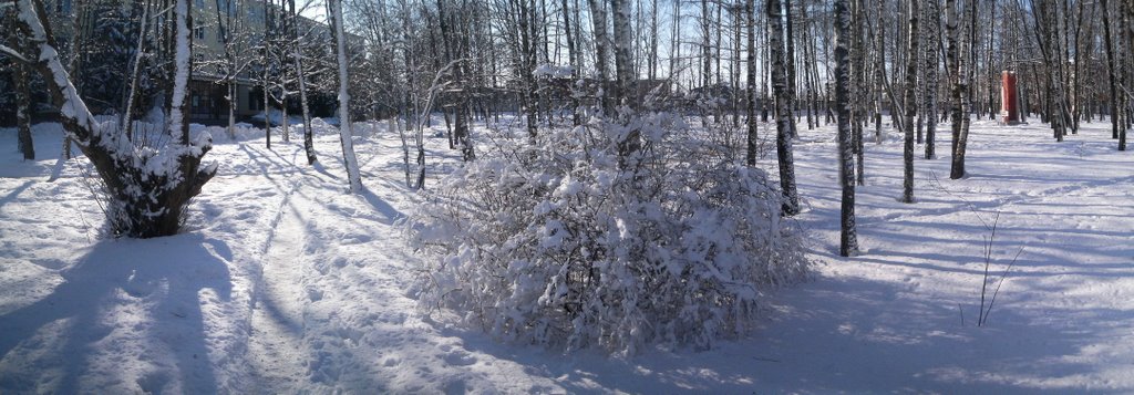 Sovetskiy rayon, Bryansk, Bryanskaya oblast', Russia by attila_