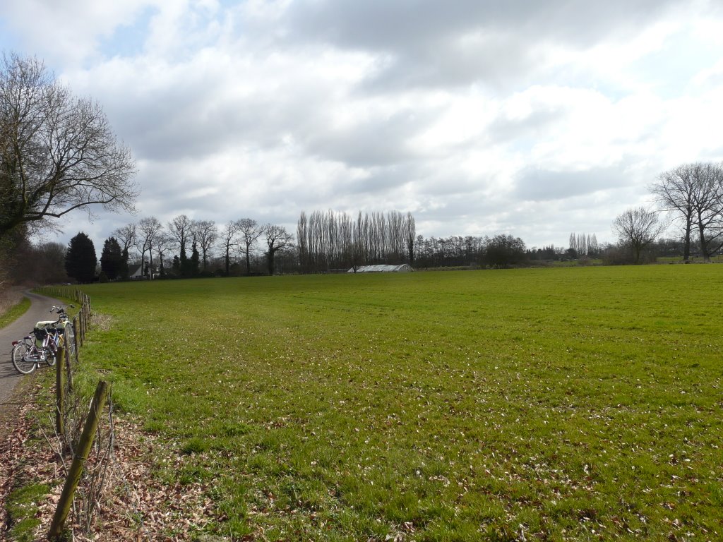 Weiland ten zuiden van de Koningslaan, zicht op oosten, Bos Amelisweerd, Utrecht by David Jimmink