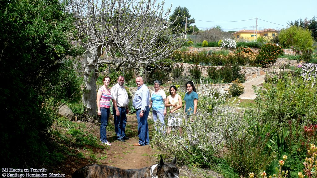 Mi Huerta en Tenerife, La visita de los Amigos by Gara  Hernández Pére…