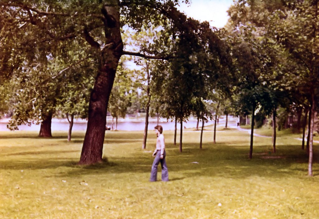 Lagerwiese am Kaiserwasser by Frieda Spitaller