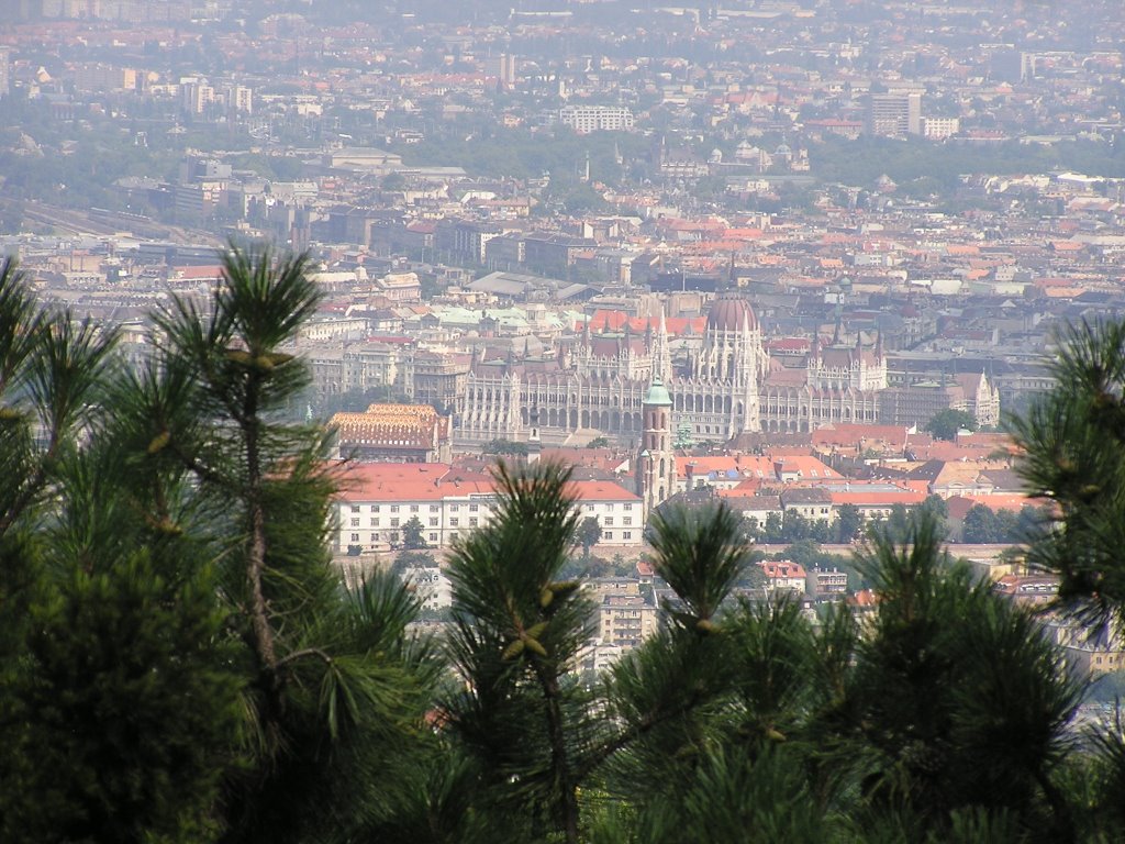 View from the side of the Széchenyi hill by www.budapestcityguid…