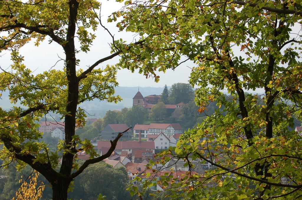 Blick auf die Creuzburg by Lars Reißig