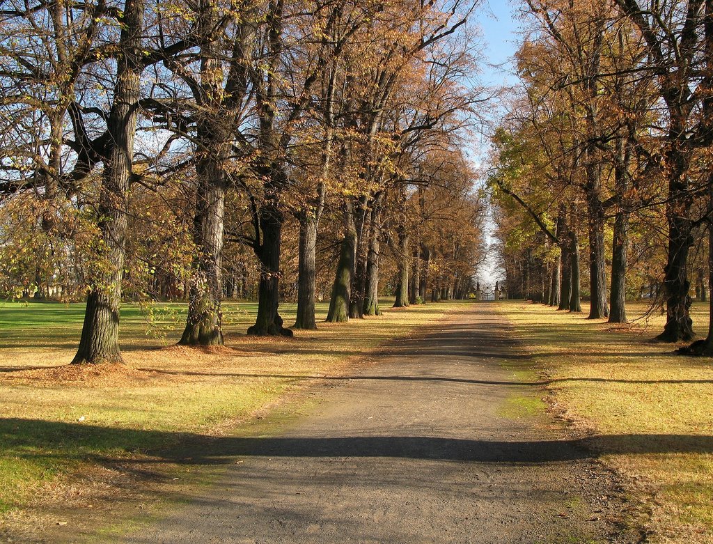 Hořovice - zámecká zahrada / Horovice - the castle garden by L.T..