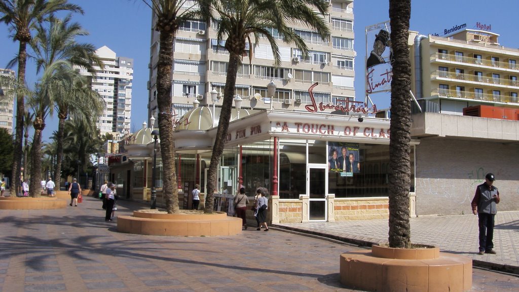 Sinatra's Club, Benidorm by Buffers on tour