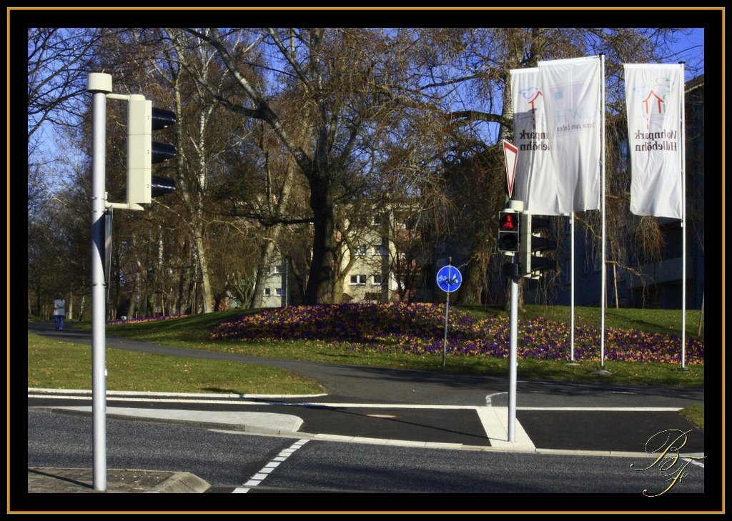 Frühling am Helleböhn by Bernd Freudenstein