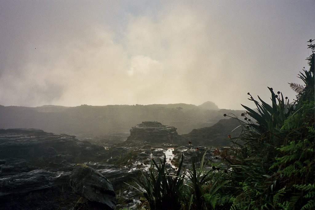 Roraima Jurassic Ambiance by daniel Valla