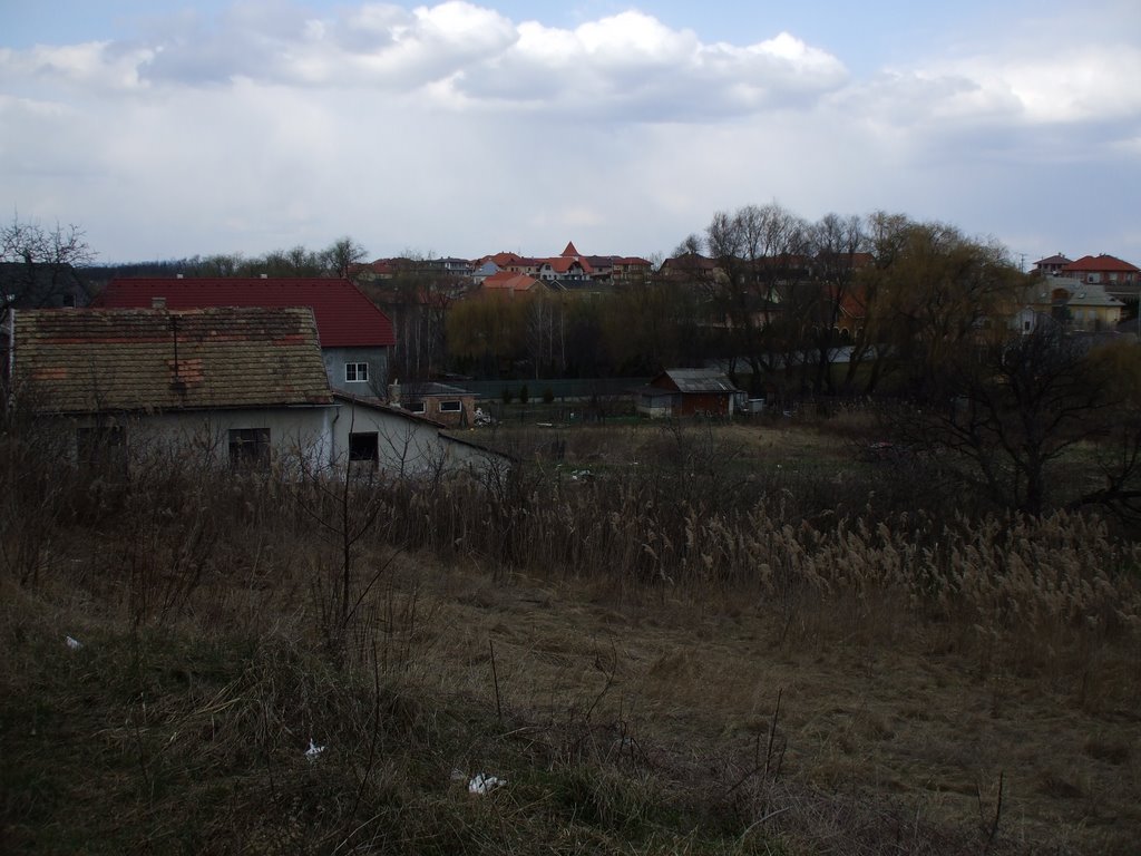 Kitekintés a fővároson kívülre, a XVI.ker Cserhida utca felől, 2009 március 21-én by Vastalicska