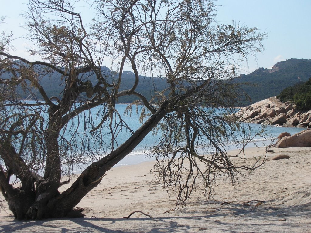 Spiaggia La Celvia by tiki beach