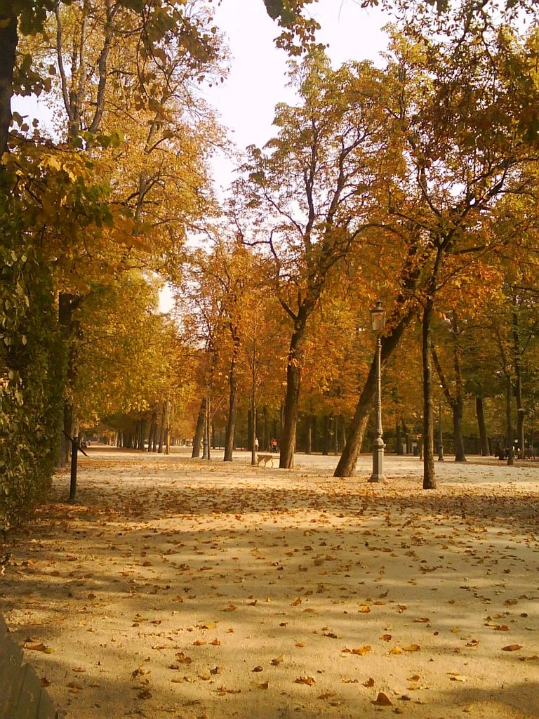 Parco Ducale in autunno - Parma by anycamy