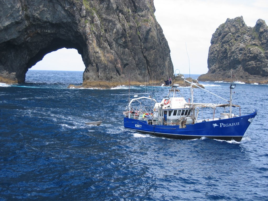 The Hole in the Rock, Bay of Islands by bojangles68