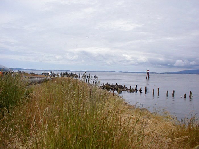 The Columbia River, Hammond, Oregon, facing north by Sheryl Todd (tapirgal)