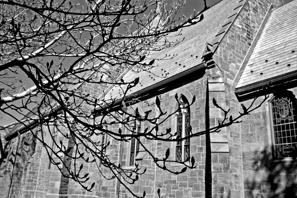 Chapel -- Seton Hall University (2007) by jplzz