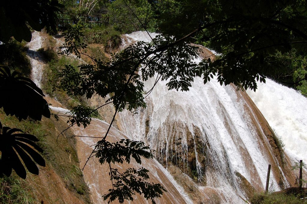 Agua Azul, Chiapas by Adolfo Medina Licon