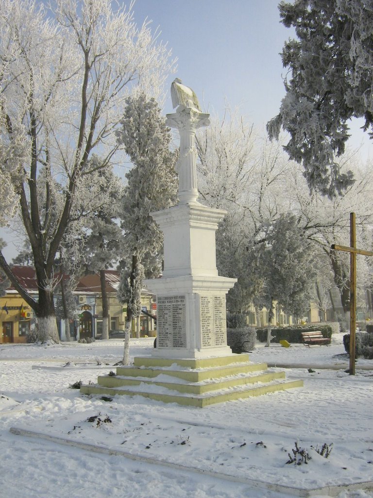 Parcul Central - Monumentul Eroilor by Catalin Lungu