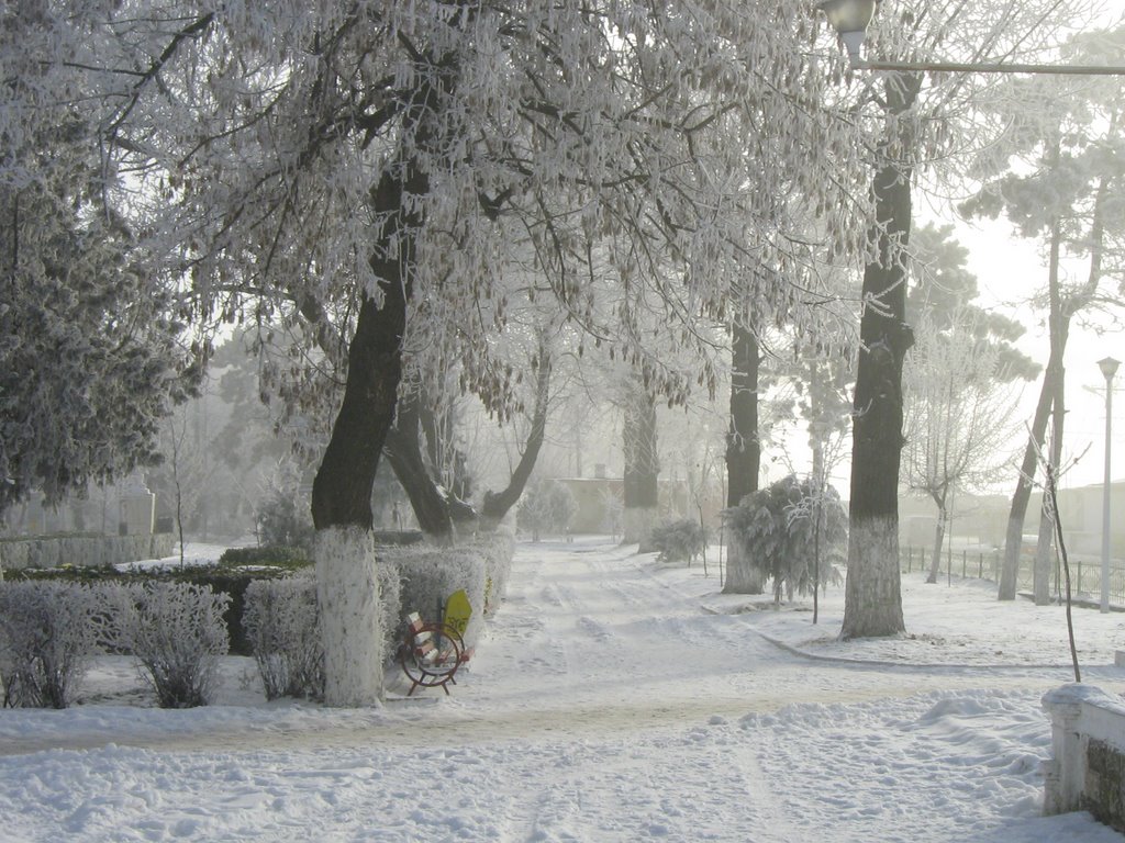 Parcul Central by Catalin Lungu