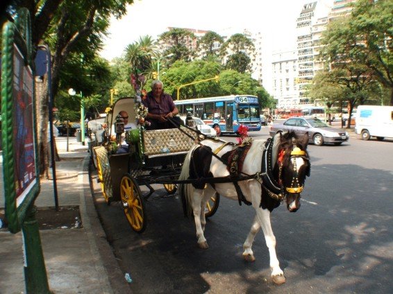 Un mateo, carro de paseos turìsticos por Palermo. by Claypolenato sur