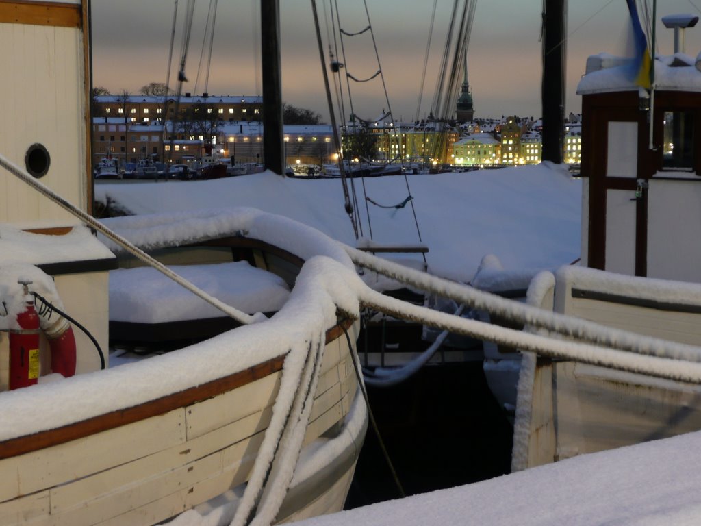 Raoul Wallenbergs torg with snow by I viaggi di Leonardo…