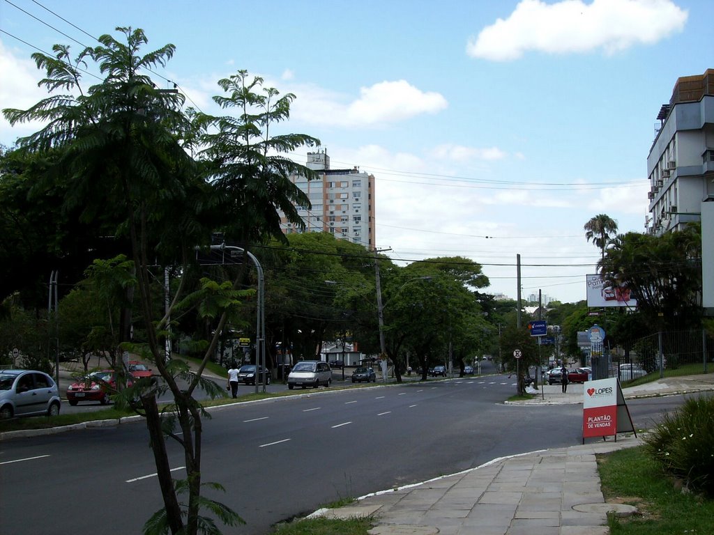 Avenida Nilo Peçanha by rmartinipoa