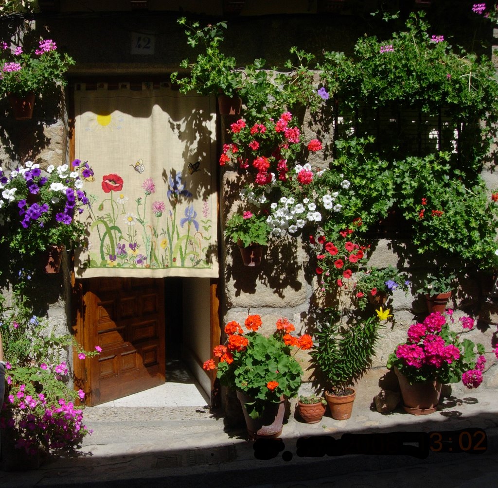 Portal con flores-cuevas del valle-avila-españa by oscutur